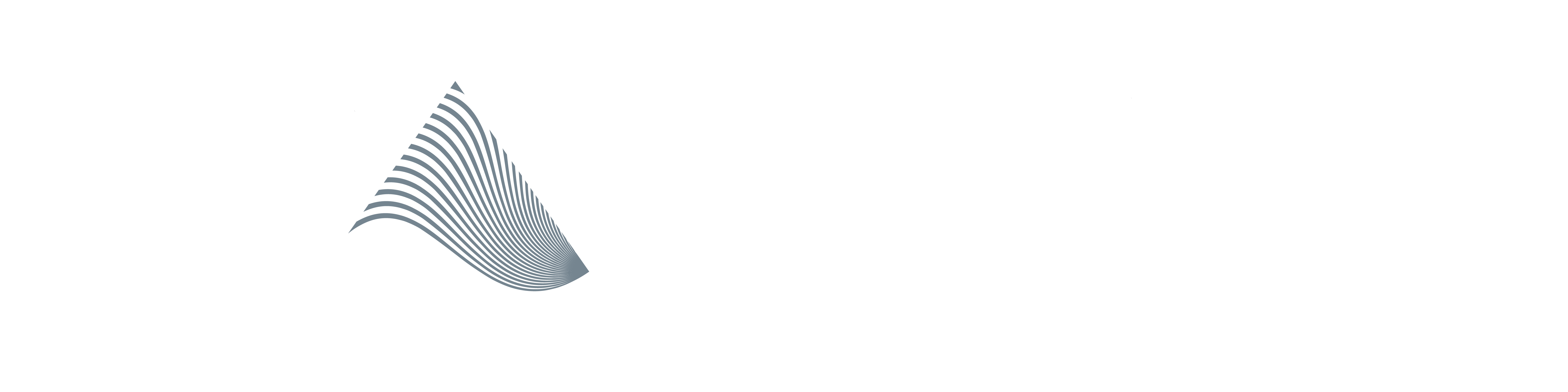 ace group